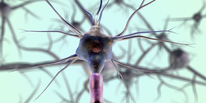 Deciphering the Genetic Influences of Cerebral Palsy