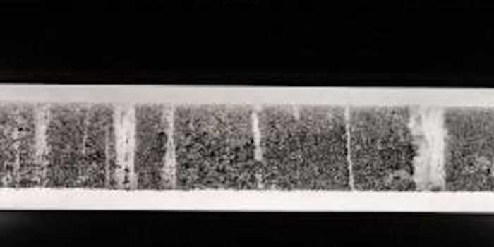 Melt Rate in Western Greenland is the Fastest It's Been in Centuries