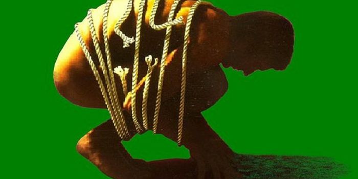 New Research on Back Pain and the Brain