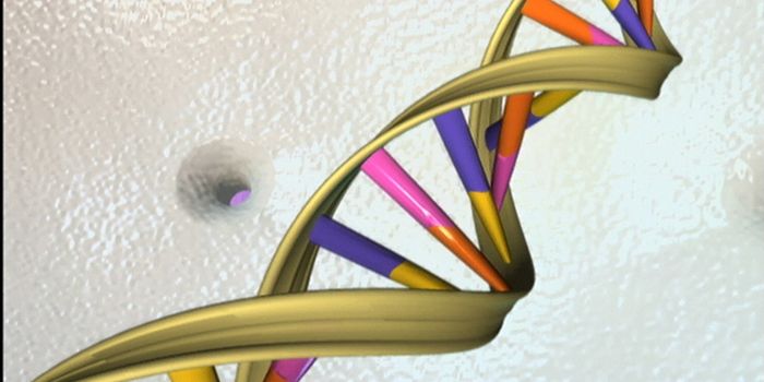 DNA Supercoiling is Found to Play a Role in Gene Expression