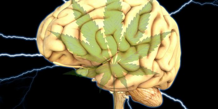 Neurological Benefits of Phytocannabinoids