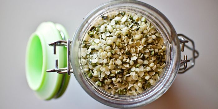 New Genetic Test Identifies Cannabis THC Levels from Seeds