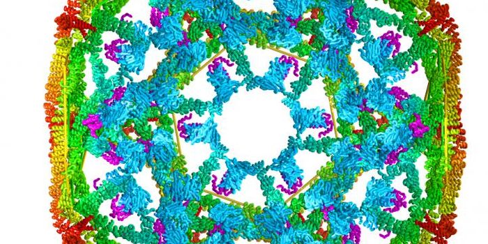 Tiny Impacts Help Keep Proteins Healthy