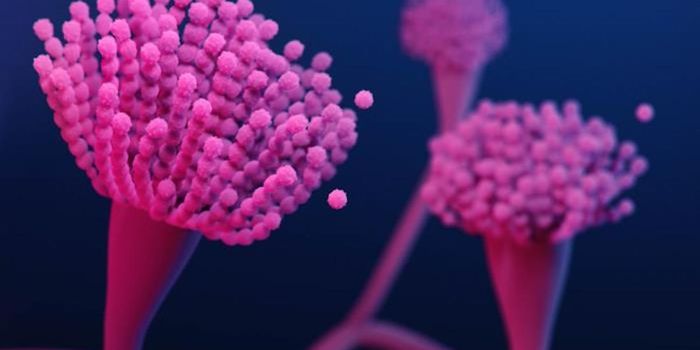 Drug-Resistant Fungi Thrive Even in Remote Regions