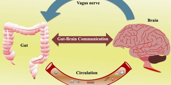 Precision Intervention: L. reuteri's Targets Specific ASD Symptom in Children
