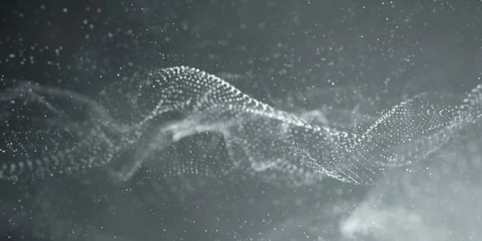 New Cas9 Enzymes Improve the Accuracy of CRISPR Prime Editing