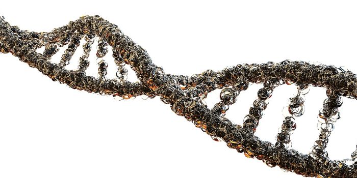 Positive Results From Human Trial of Tay-Sachs Gene Therapy