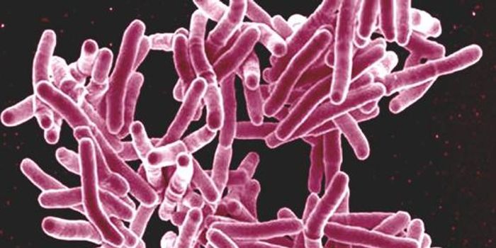 Gene Discovery Provides Clue to How TB May Evade the Immune System