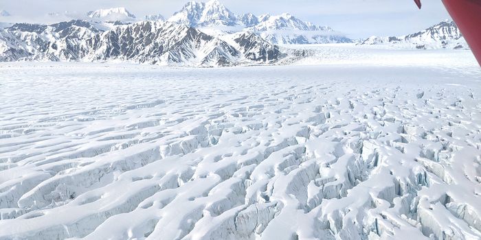 Alaskan Glacier "Body Scan" Reveals Risks to Glacier's Future
