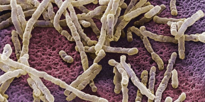 Bezlotoxumab for recurrent C. difficile infections