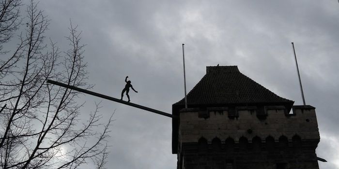 Cells Can 'Walk' On a Nanofiber Tightrope