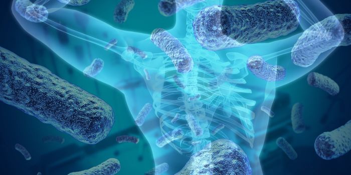 Gut Bacteria and the Immune System Tag Team Glucose Metabolism