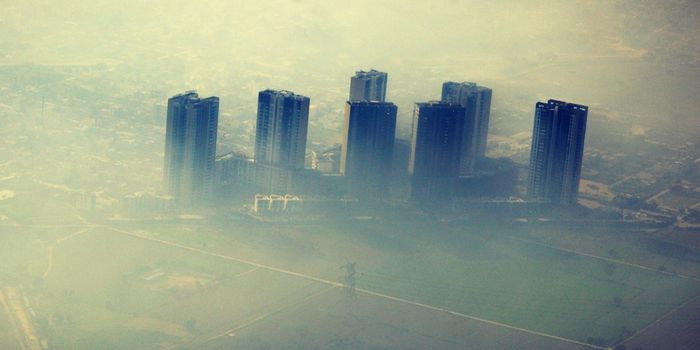 Air Pollution Found to Drive Lung Cancer in Non Smokers