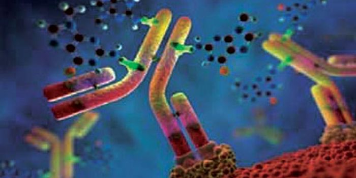 A Combination of Drugs and Immunotherapy To Treat Breast Cancer