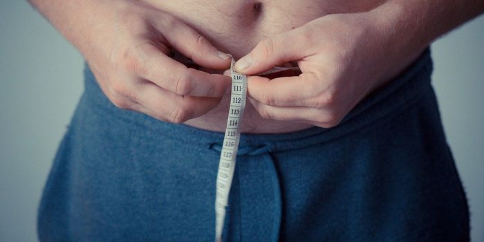 High BMI and Waist Circumference Increase Dementia Risk