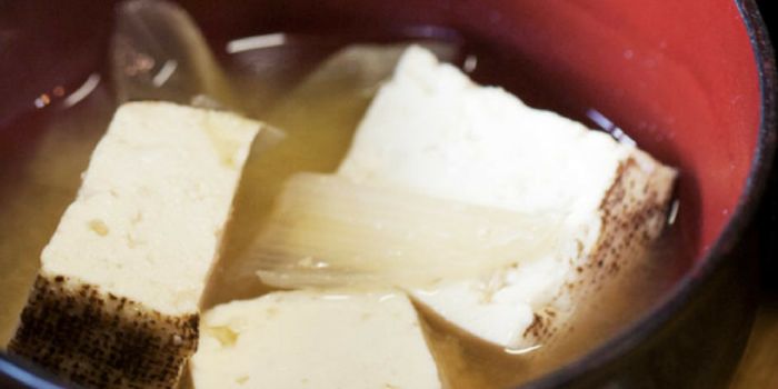 Could soy protein ease irritable bowel diseases?