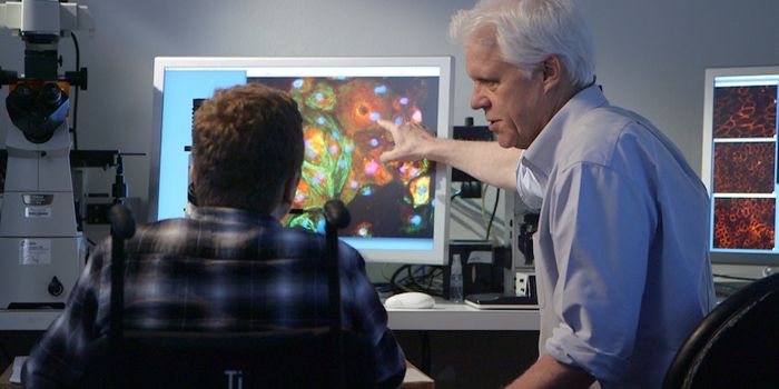 Gene Editing Could Correct 3,000 Mutations Causing Muscular Dystrophy