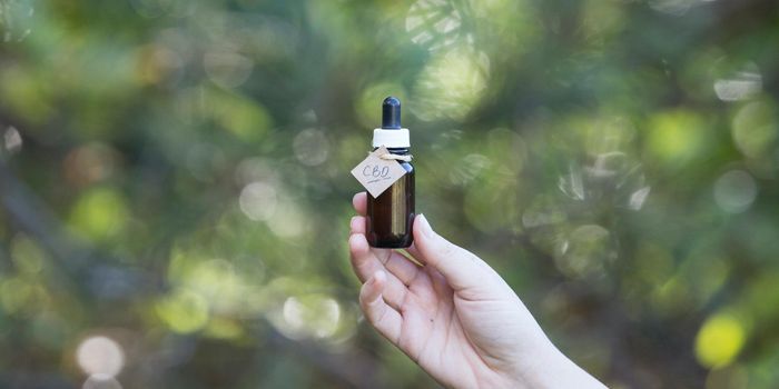 Cannabis Extracts Significantly Reduce Myofascial Pain