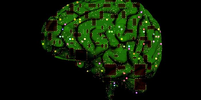 TSRI Scientists Show Deep Brain Stimulation Blocks Heroin Relapse in Rats