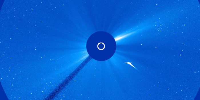 SOHO Footage Shows a Comet Being Vaporized by the Sun