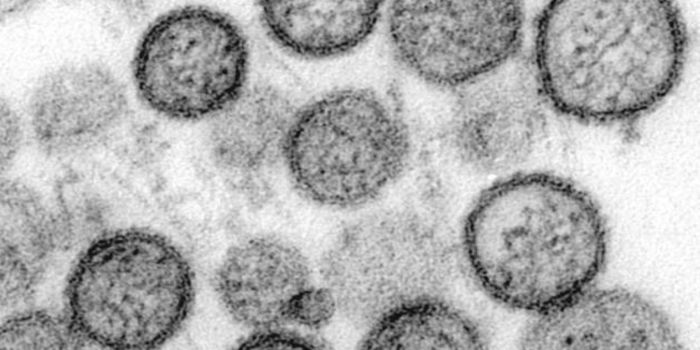 Potential Rare Human-to-Human Transmission in a Hantavirus Outbreak