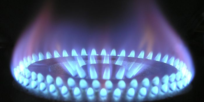 Gas Stoves Increase Levels of a Chemical Linked to Blood Cancers