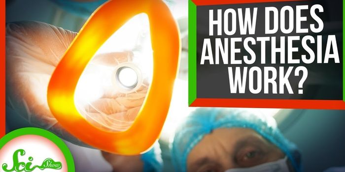 Toward Understanding Anesthesia