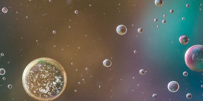 One Microbial Molecule Makes a Big Difference in Immune Reactions