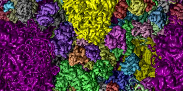 Supercomputer Reveals Protein Behavior in Realistic Cellular Setting
