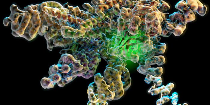 Crouching Protein, Hidden Enzyme