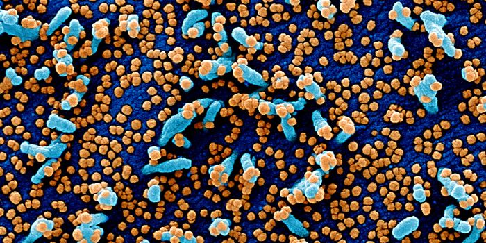 How Two Types of Tests for COVID-19 Work