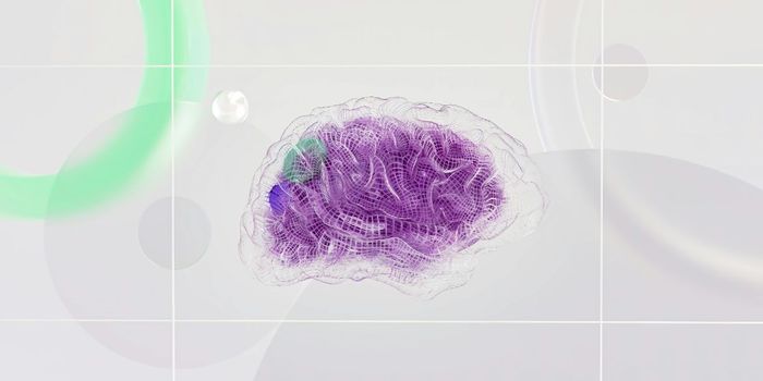 Cannabis May Affect Brain Plasticity Via Astrocytes