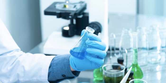 Investigating the Gut Virome