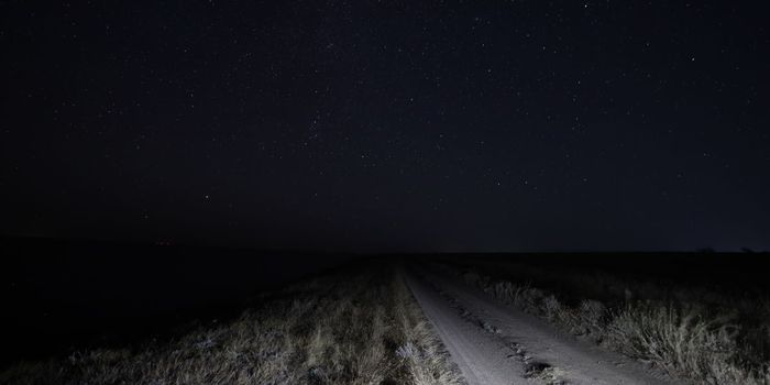 Experimental Gene Therapy Restores Night Vision in Blind Patients