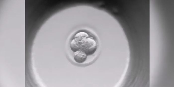 Fertility Treatments May Cause Epigenetic Disorders