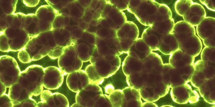 How Do Microbes From the Human Microbiome Spread?