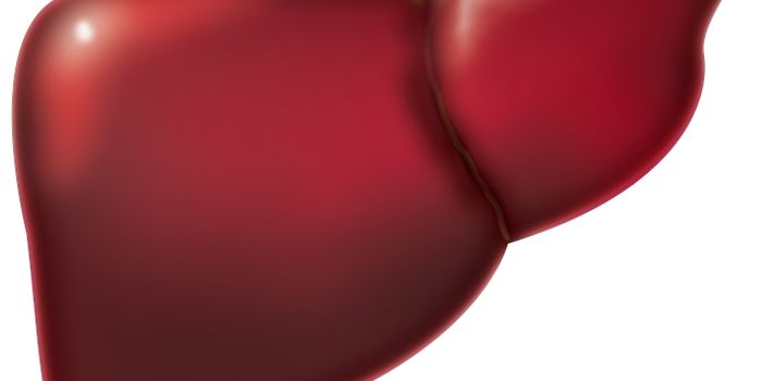 Eat until you are only 70% full to reduce risk of fatty liver and liver cancer