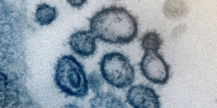 Understanding an Antiviral Drug, as COVID-19 Cases Rise in the US