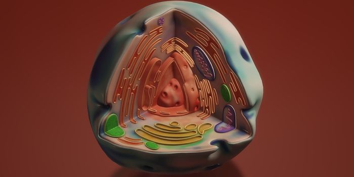 How Mitochondria Get Help When They're Stressed