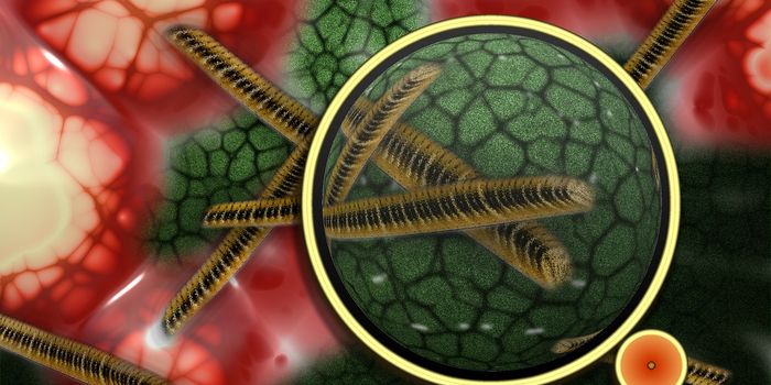 New Developmental Role in Immune Cells Can Kill Pathogens