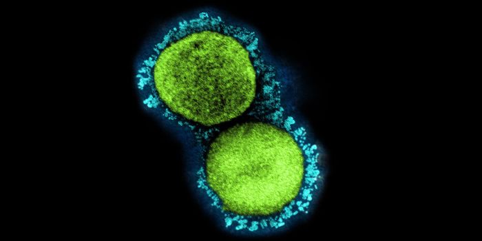 A Potential Weakness in SARS-CoV-2 is Caught on Video