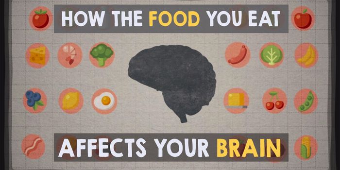Keeping the Brain Healthy With Food