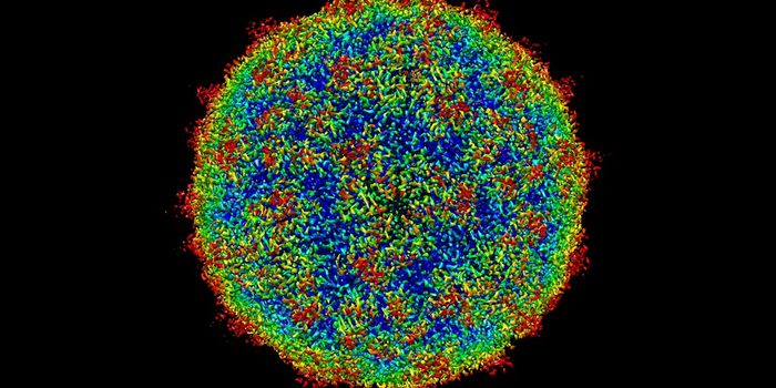 Transplant Patients Fall Victim to the Common Cold