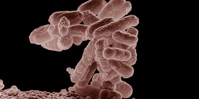 Alternating Antibiotics Could Make Resistant Bacteria Beatable