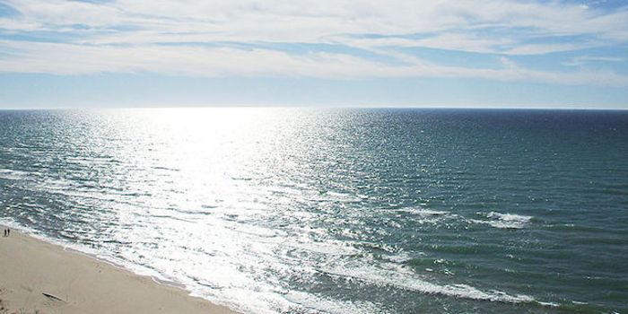 Risks vs Rewards Of Possible Fish Farming In The Great Lakes