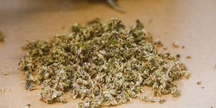 Study Provides a Better Understanding of How Hexahydrocannabinols (HHCs) Bind to Receptors