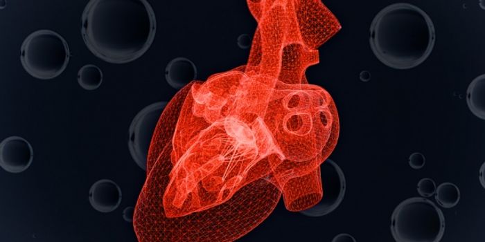 How long can the heart last without oxygen?