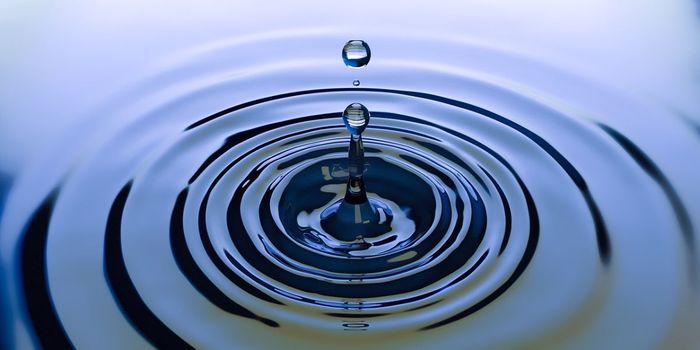 Women's Tears Decrease Male Aggression by 44%