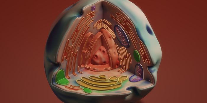 Neurodegenerative Disease Development is Linked to the Largest Organelle