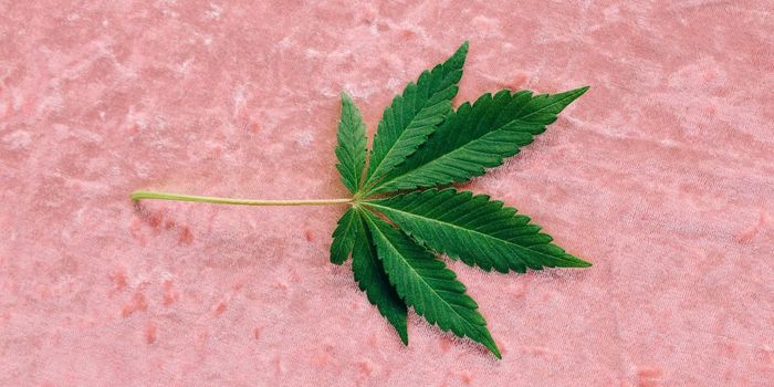 Causal Links Between Cannabis Use Disorder and PTSD, ADHD